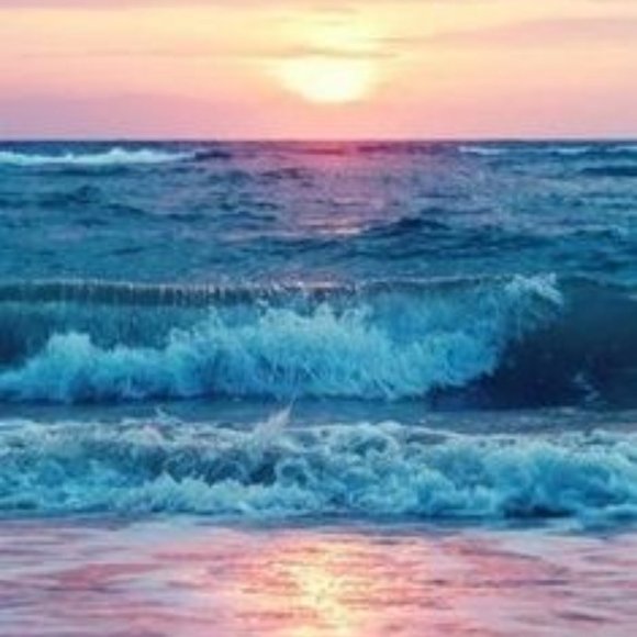 Its Meee, Minty! 😎 (AnnaBella)~ Your Posher, Seller and Buyer - Picture 13 of 14